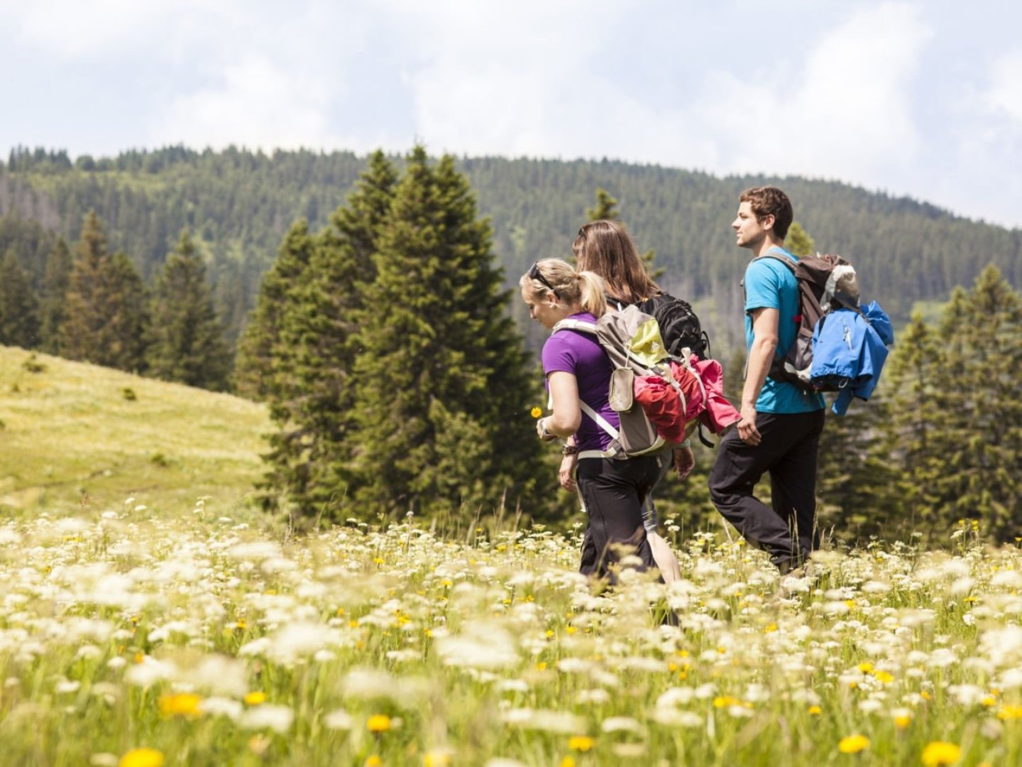 Erholsame Auszeit vom Alltag im Schwarzwald I 5 Nächte 