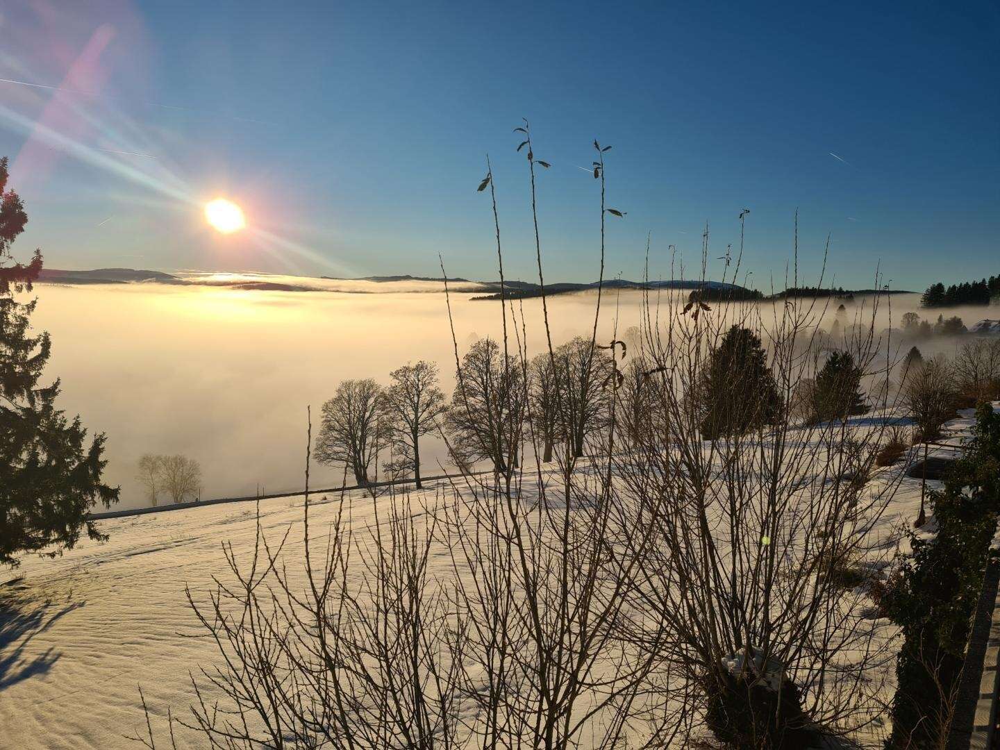 Erholsame Auszeit vom Alltag im Schwarzwald I 5 Nächte 