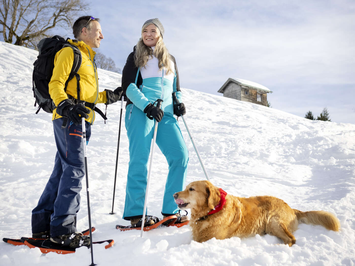 Urlaub mit Hund im Schwarzwald – Erleben Sie Abenteuer auf vier Pfoten I 6 Nächte 