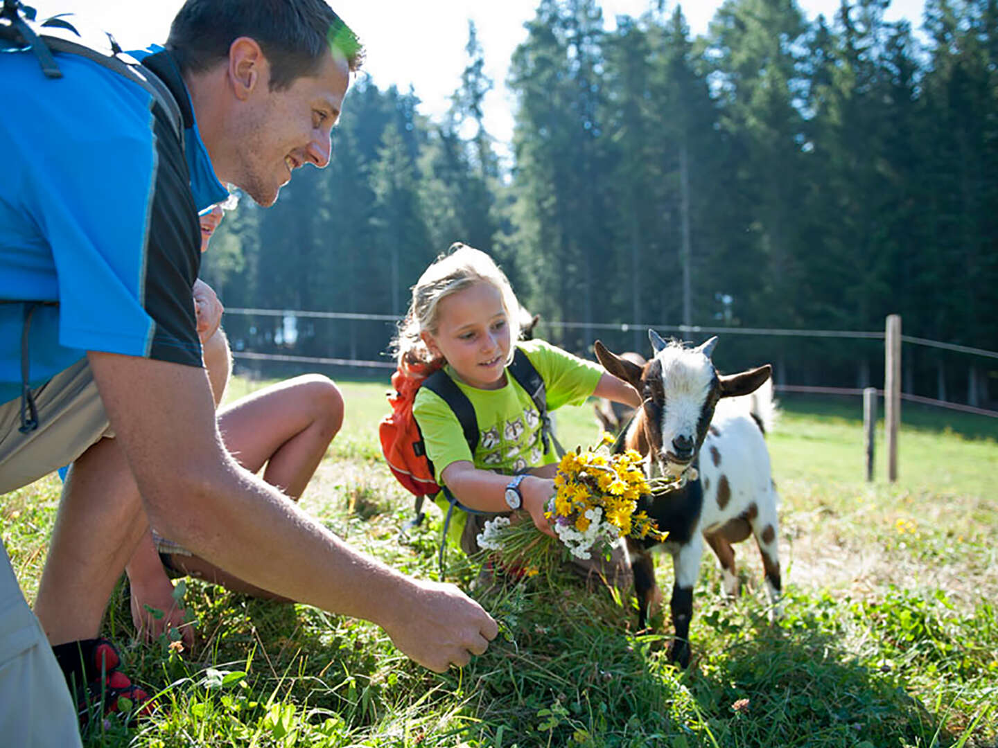 Entspannender Kurzurlaub zwischen den Dolomiten und der Adria | 2 Nächte 