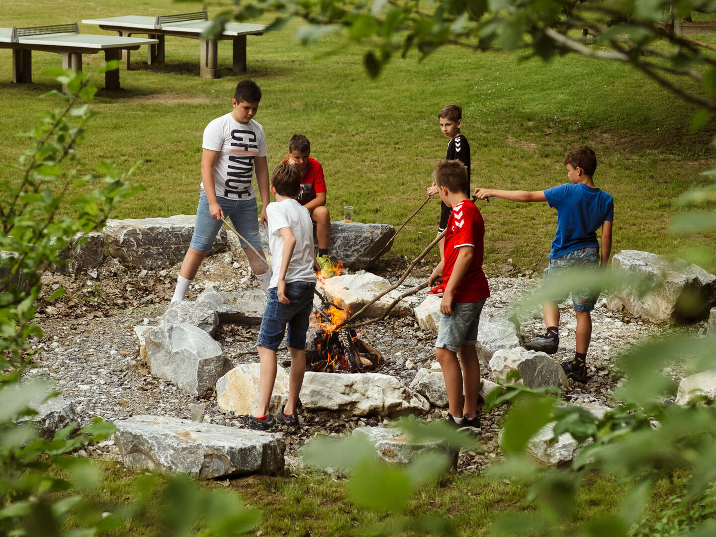 Abenteuer & Naturgenuss für Zwei- und Vierbeiner in der Lipizzanerheimat | 6 Nächte