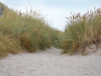 Sankt Peter-Ording erleben