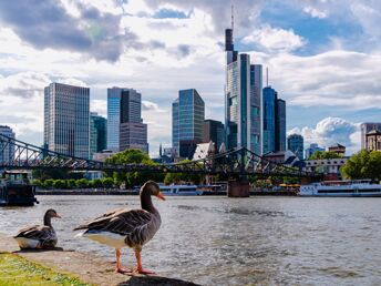 3 Tage Frankfurt am Main erleben. Zu kurz aber aufregend. 