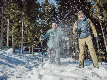 Weihnachtszeit in der Region Schladming Dachstein | 4 Nächte