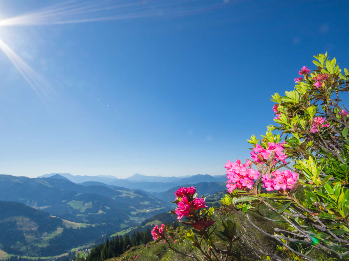 Glücksmomente am Sonnenplateau in Tirol | 3 Nächte