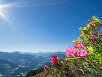 Sommer in der Wildschönau - Berge & Wellness | 3 Nächte