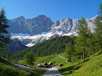 Wanderurlaub in Schladming inkl. Schladming-Dachstein Sommercard | 4 Nächte