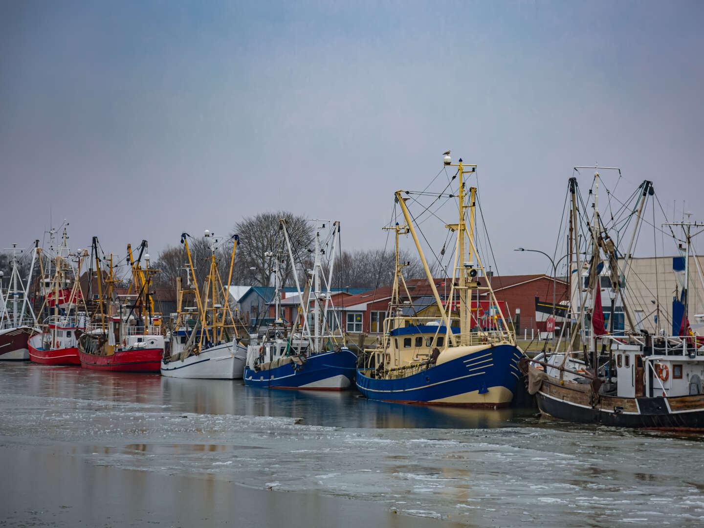 Mit Gummistiefeln durchs Watt - Büsum erkunden