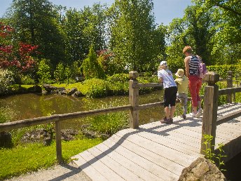 Blütenzauber & Thermalglück: Wellness in Slowenien inkl. Arboretum | 3 Nächte