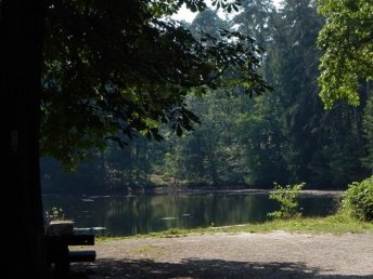 Kultur in Detmold: Unvergessliche Tage im Teutoburger Wald mit Detmolder Schloss und mehr