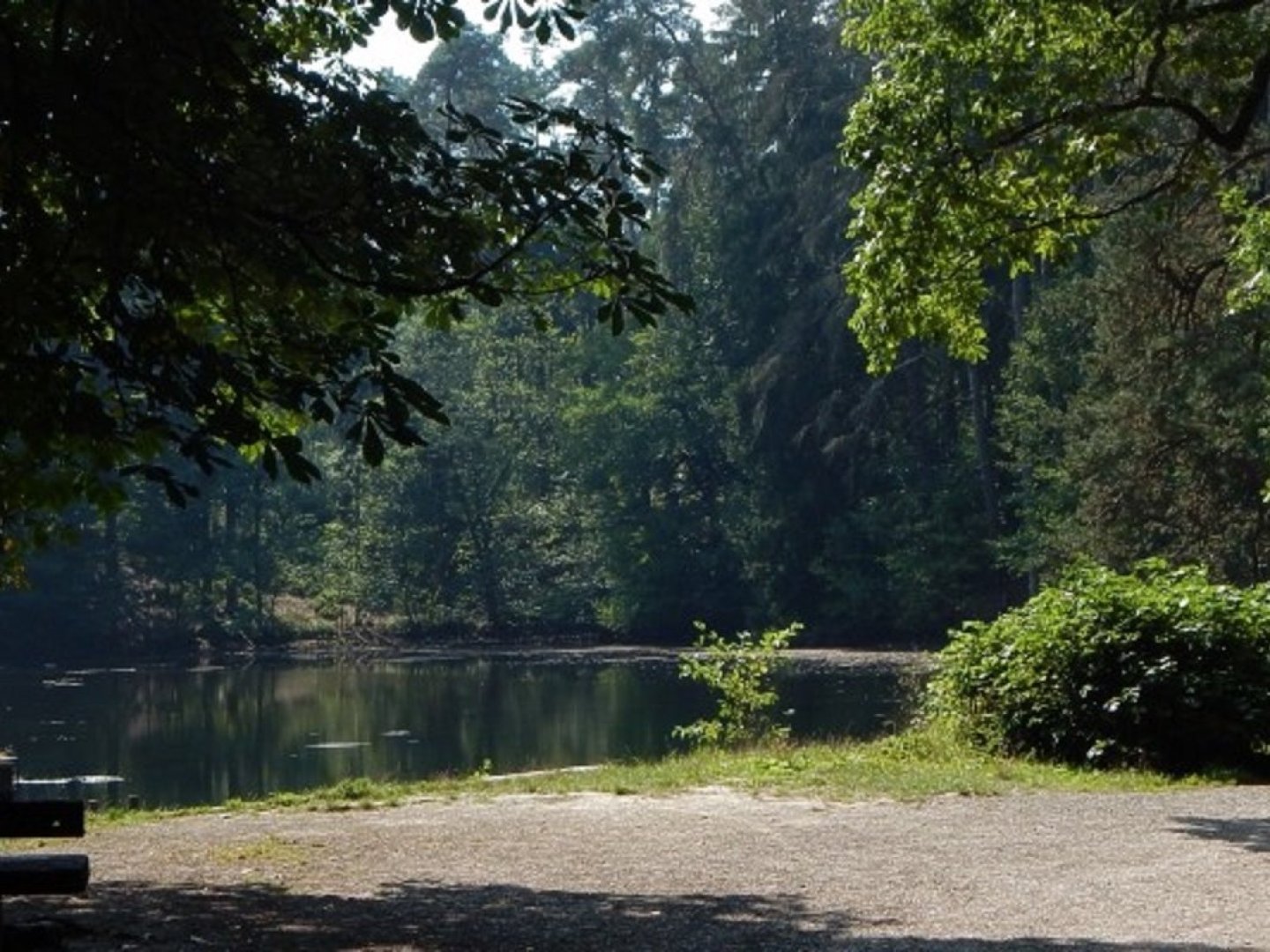 Auf zwei Rädern durch die Natur in Detmold und dem Teutoburger Wald