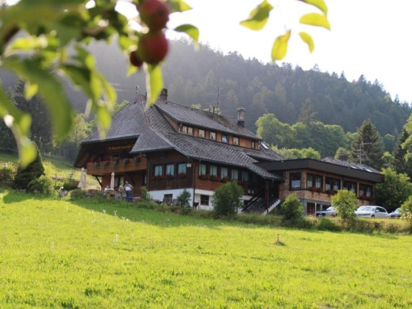 Wandern im Schwarzwald