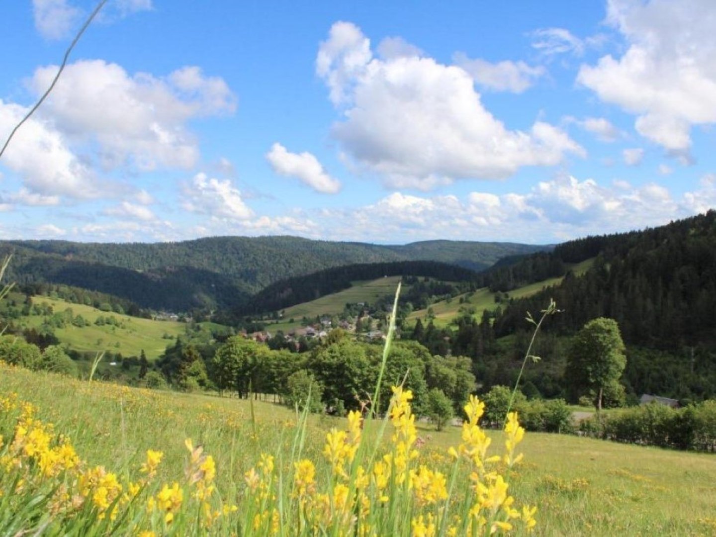 Wandern im Schwarzwald