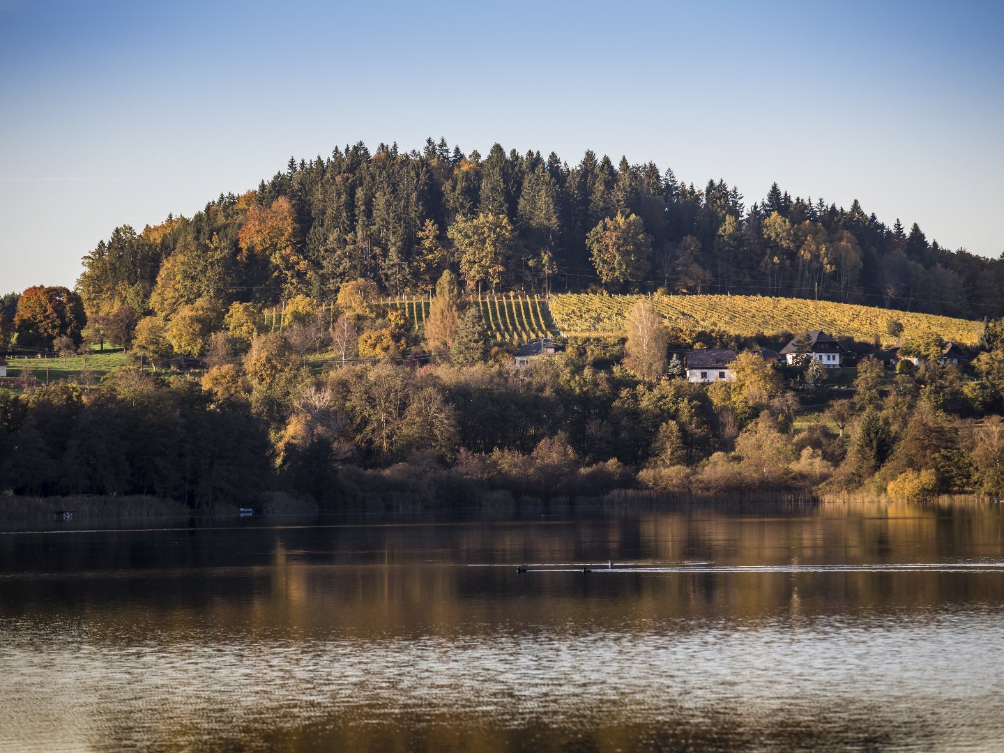 Ihr Bio Urlaub am See 2 Nächte / 3 Tage