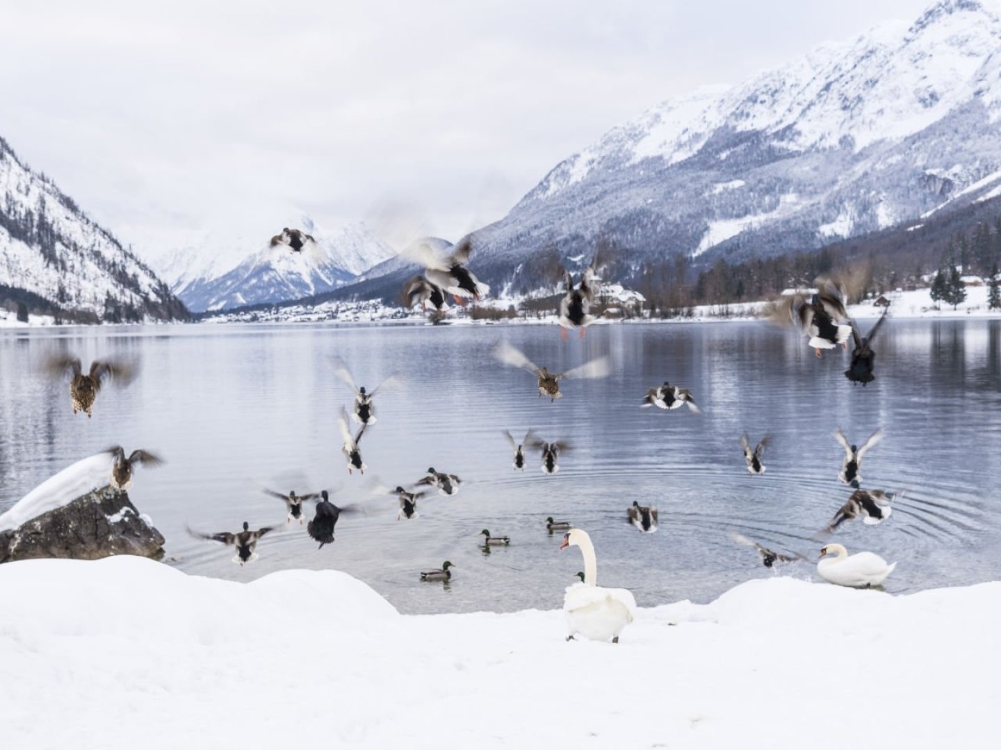 Schneespaß am Grundlsee inkl. Skipass I 4 Nächte