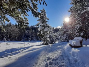 Schneespaß am Grundlsee inkl. Skipass I 4 Nächte