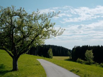 5 Tage Romantik Urlaub im Allgäu 