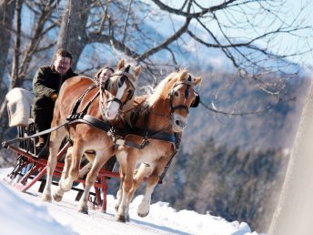 Rückzug in die Berge – Ruhe, Natur & Erholung I 5 Nächte Mariazellerland