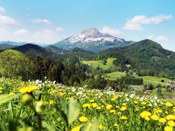 Gemeinsam Gipfel stürmen – Wanderauszeit für Zwei im Mariazellerland I 7 Nächte