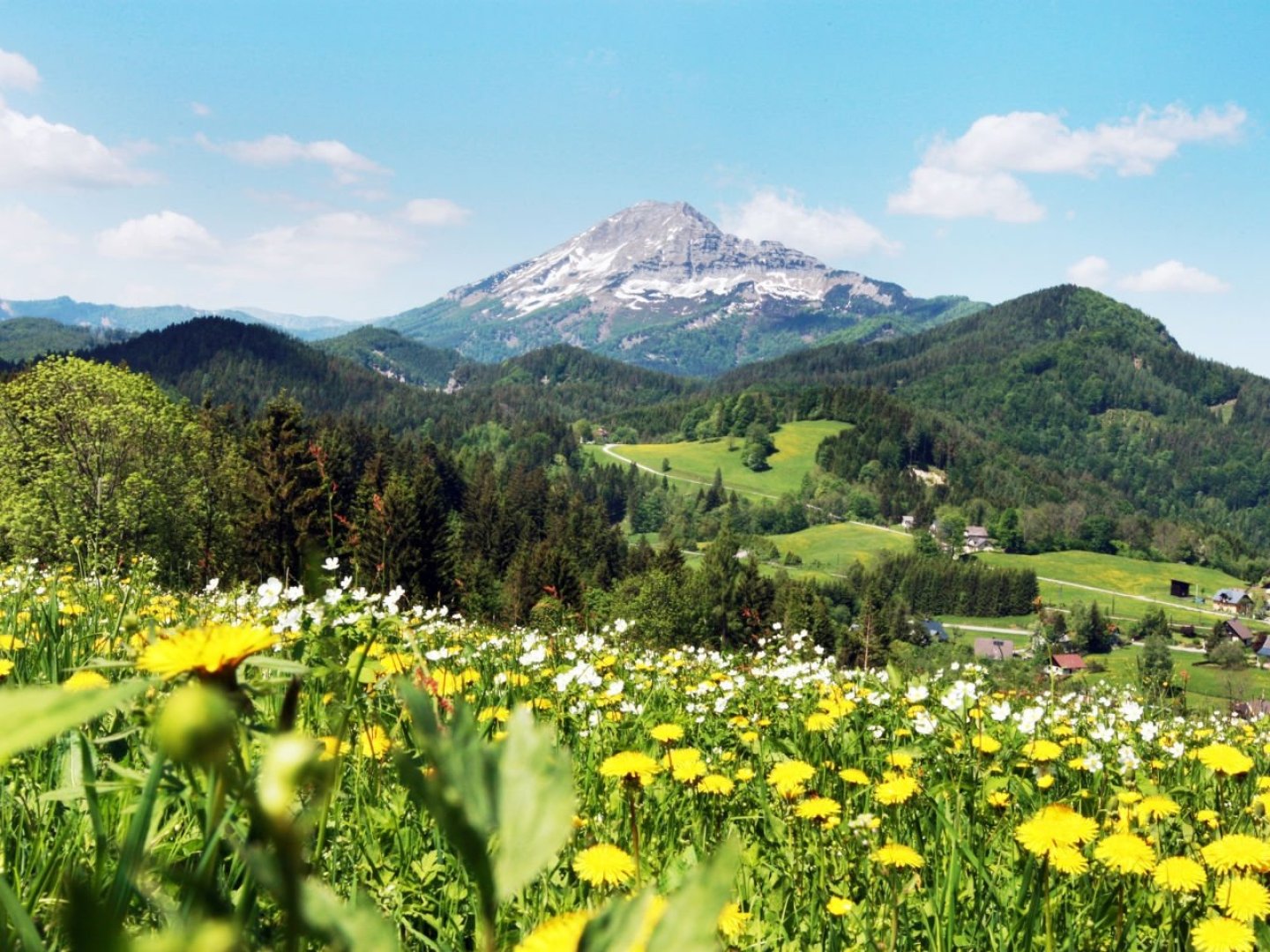 Rückzug in die Berge – Ruhe, Natur & Erholung I 2 Nächte Mariazellerland