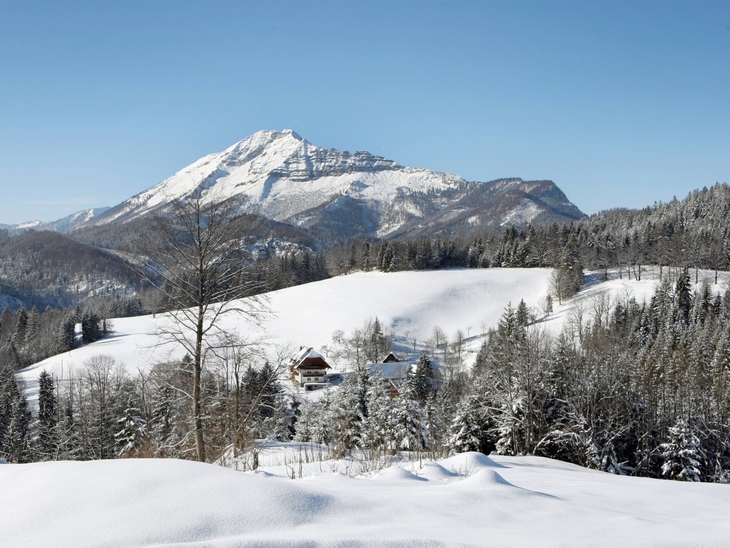 Aktivurlaub im Mariazellerland: Wandern, Wellness & Alpenidylle I 3 Nächte