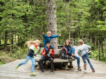 Rückzug in die Berge – Ruhe, Natur & Erholung I 3 Nächte Mariazellerland