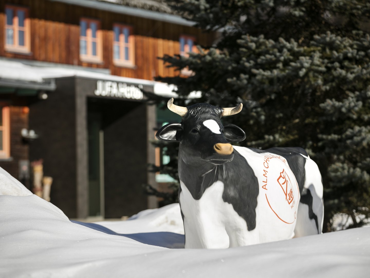 Natur pur & Gipfelerlebnisse: Dein Bergurlaub in den Eisenerzer Alpen I 4 Nächte 