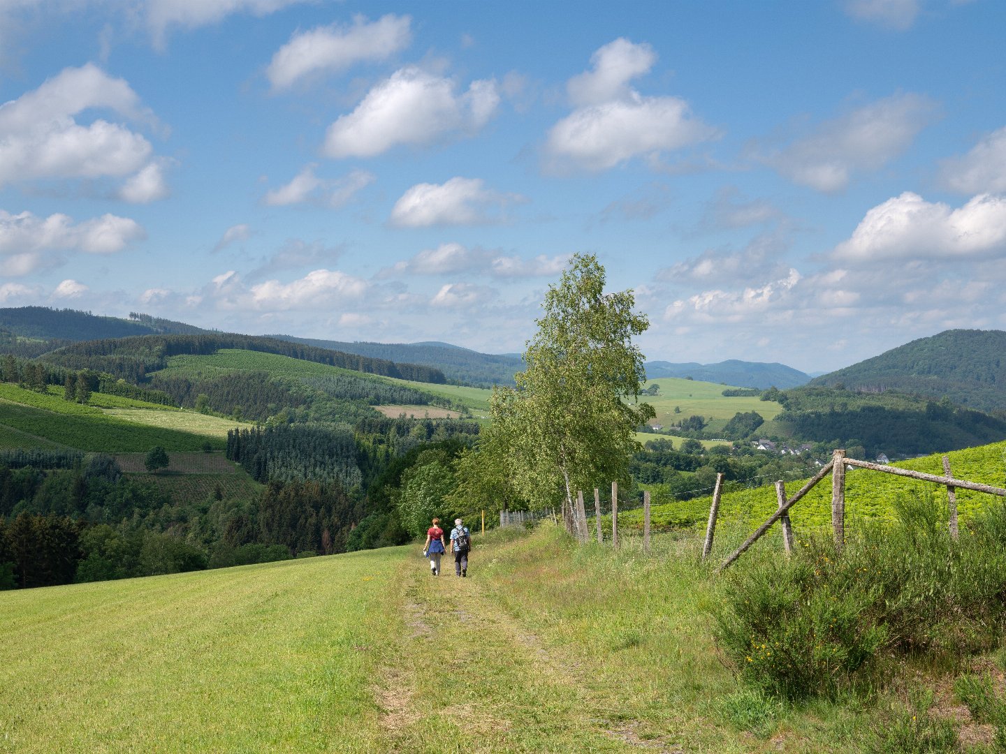 Eine Woche im Sauerland | 7 Tage