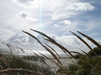 Maritime Winter-Auszeit- 5 Tage auf Langeoog 