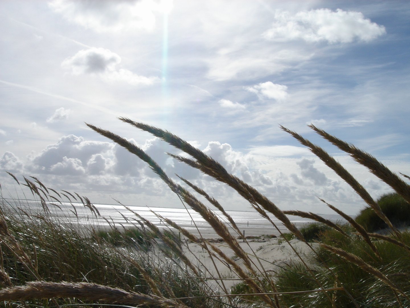 Maritime Winter-Auszeit- 5 Tage auf Langeoog 