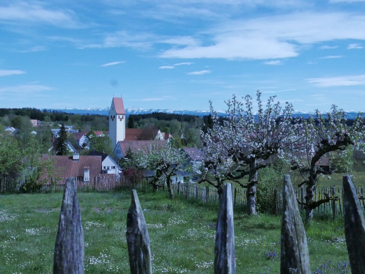 Blauer Montag im Boutique-Hotel ZUM SCHLOSS