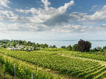 Blauer Montag im Boutique-Hotel ZUM SCHLOSS