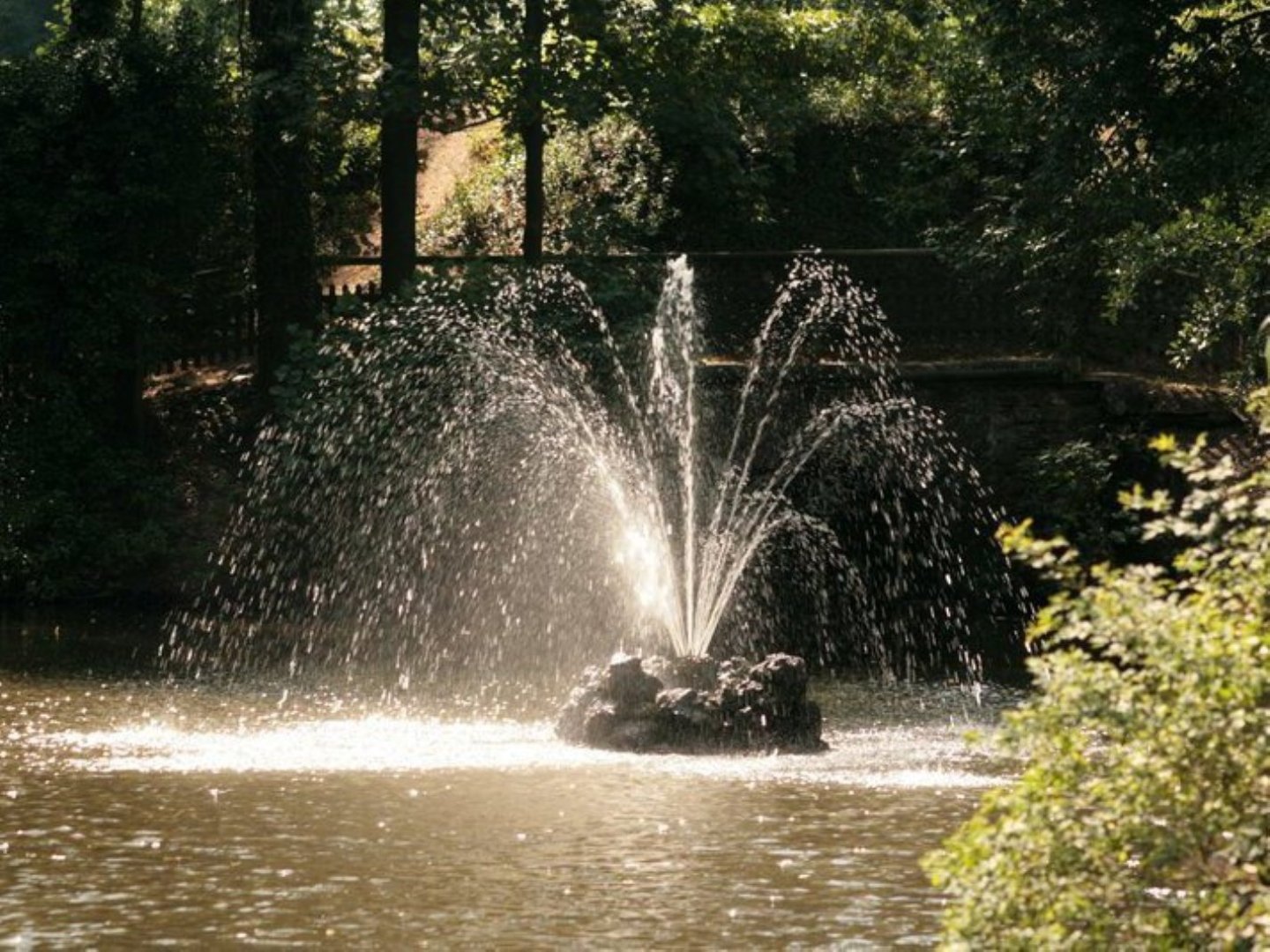 Relax Wochenende & Vulkaneifeltherme in der Eifel in Bad Bertrich