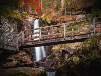 3 Tage im Bayerischen Wald: 360° Aktivurlaub mit Genusspension & Wellness