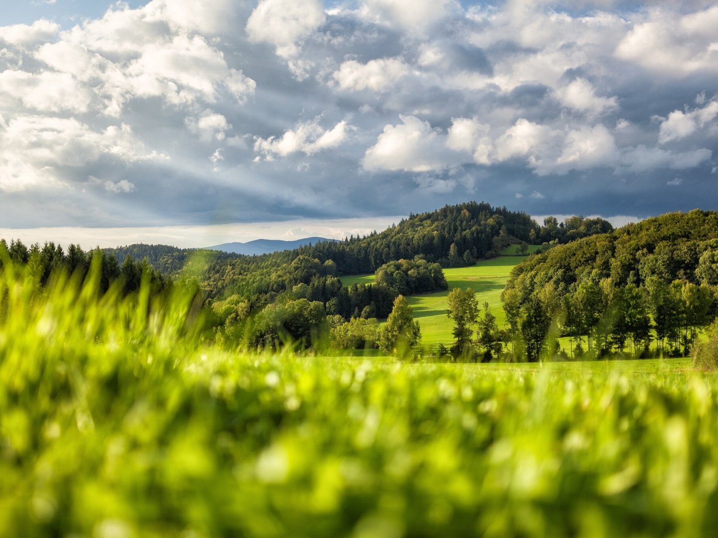 4 Tage im Bayerischen Wald: 360° Aktivurlaub mit Genusspension & Wellness