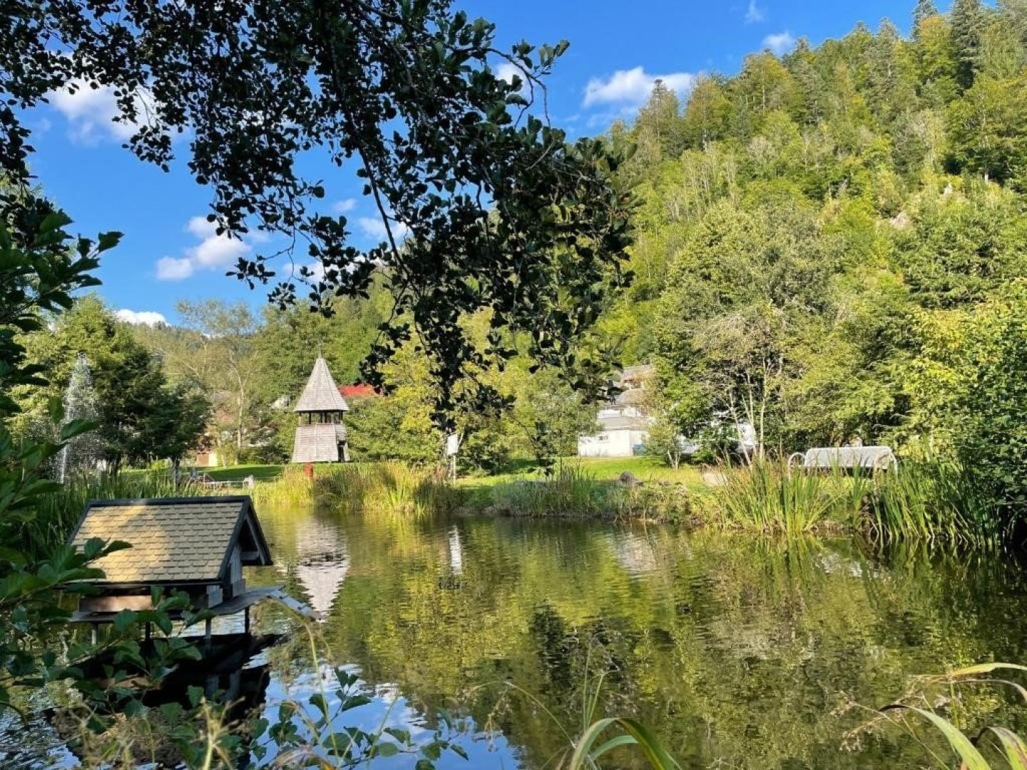 Wellness-Spa-Nachmittag mit Abendessen zwischen Feldberg & Titisee