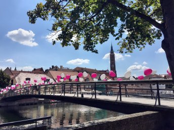 3 Tage Kuschelfieber in Landshut